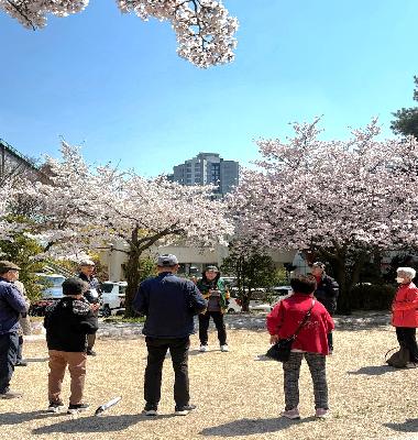 [노인맞춤돌봄서비스] 마을 숲에서 다시 만나는 봄 이야기 '은빛 산책'